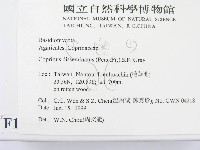 登錄號:F0013148藏品圖，第2張
