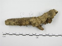 登錄號:F0013148藏品圖，第1張
