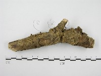 登錄號:F0013148藏品圖，第3張