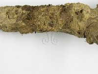 登錄號:F0013148藏品圖，第5張