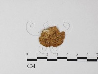 登錄號:F0013149藏品圖，第1張