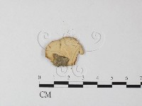 登錄號:F0013149藏品圖，第3張