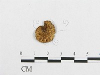 登錄號:F0013150藏品圖，第1張