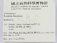 乳菇屬藏品圖，第2張