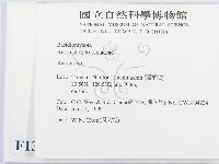 紅菇屬藏品圖，第2張