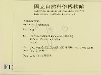 登錄號:F0013155藏品圖，第2張
