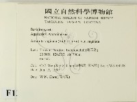 登錄號:F0013158藏品圖，第2張
