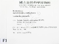 登錄號:F0013159藏品圖，第2張