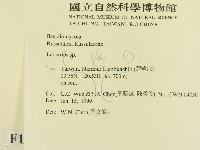 乳菇屬藏品圖，第2張
