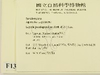 登錄號:F0013161藏品圖，第2張