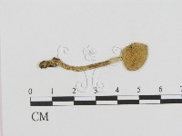 登錄號:F0013161藏品圖，第1張