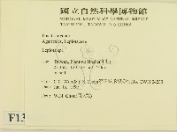 登錄號:F0013163藏品圖，第2張