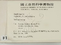 登錄號:F0013164藏品圖，第2張
