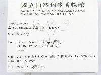 登錄號:F0013165藏品圖，第2張