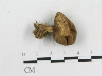 登錄號:F0013165藏品圖，第1張