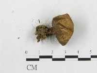 登錄號:F0013165藏品圖，第3張