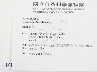紅菇屬藏品圖，第2張