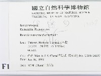 登錄號:F0013167藏品圖，第2張