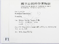 紅菇屬藏品圖，第2張