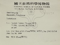 乳菇屬藏品圖，第2張
