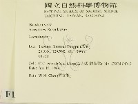 乳菇屬藏品圖，第2張