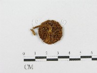 登錄號:F0013173藏品圖，第1張