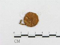 登錄號:F0013173藏品圖，第3張