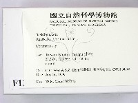 登錄號:F0013174藏品圖，第2張