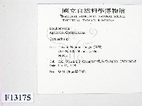 登錄號:F0013175藏品圖，第2張