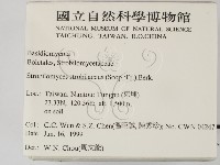 登錄號:F0013177藏品圖，第2張