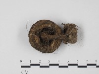 登錄號:F0013177藏品圖，第3張