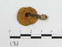 登錄號:F0013178藏品圖，第3張