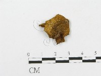 登錄號:F0013179藏品圖，第1張