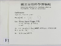 登錄號:F0013180藏品圖，第2張