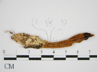 登錄號:F0013181藏品圖，第4張