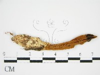 登錄號:F0013181藏品圖，第5張