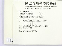登錄號:F0013182藏品圖，第2張