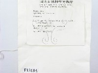 登錄號:F0013184藏品圖，第2張