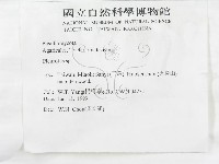 登錄號:F0013184藏品圖，第3張