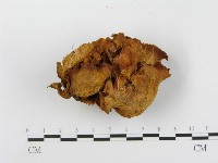 登錄號:F0013184藏品圖，第4張