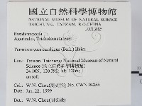 登錄號:F0013185藏品圖，第2張