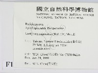 登錄號:F0013186藏品圖，第2張