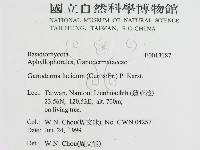 登錄號:F0013187藏品圖，第2張