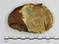 登錄號:F0013187藏品圖，第3張