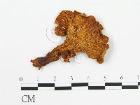 登錄號:F0013189藏品圖，第3張