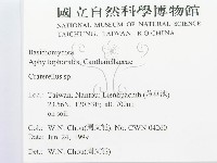 喇叭菌屬藏品圖，第2張