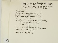 登錄號:F0013192藏品圖，第2張