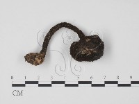 登錄號:F0013192藏品圖，第1張