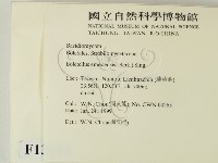 登錄號:F0013193藏品圖，第2張