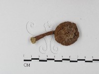 登錄號:F0013193藏品圖，第3張